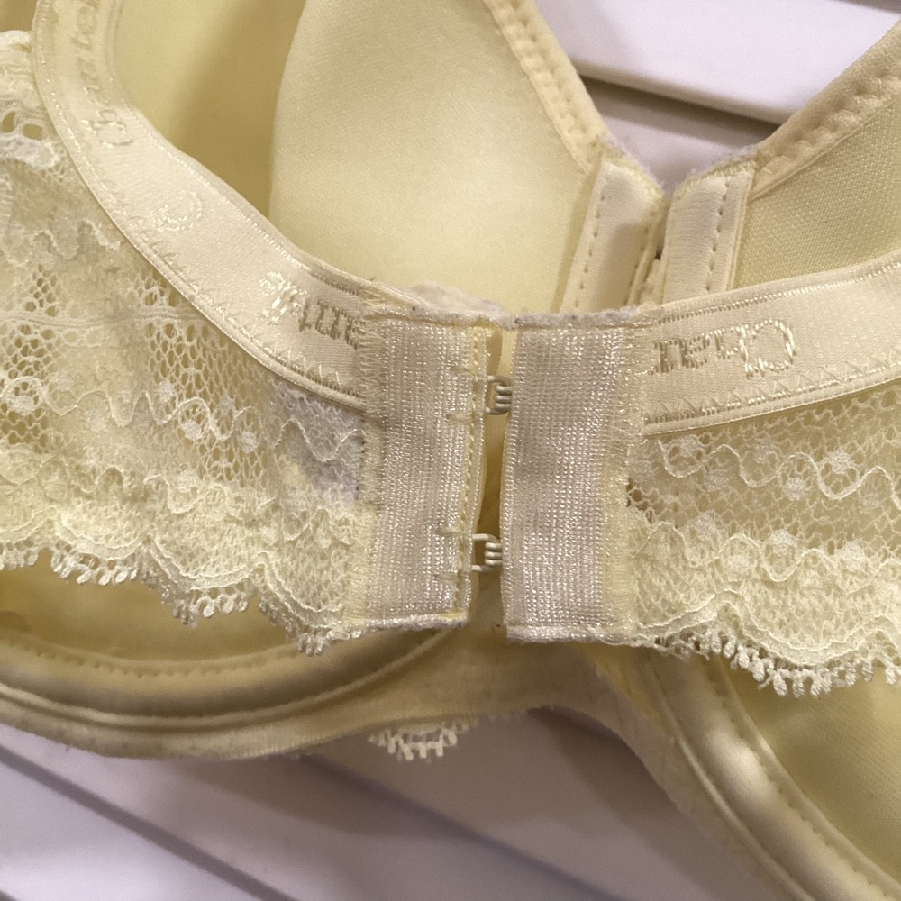 Chantelle “Paresian” Underwire Tshirt Bra 36D - Picture 4 of 14